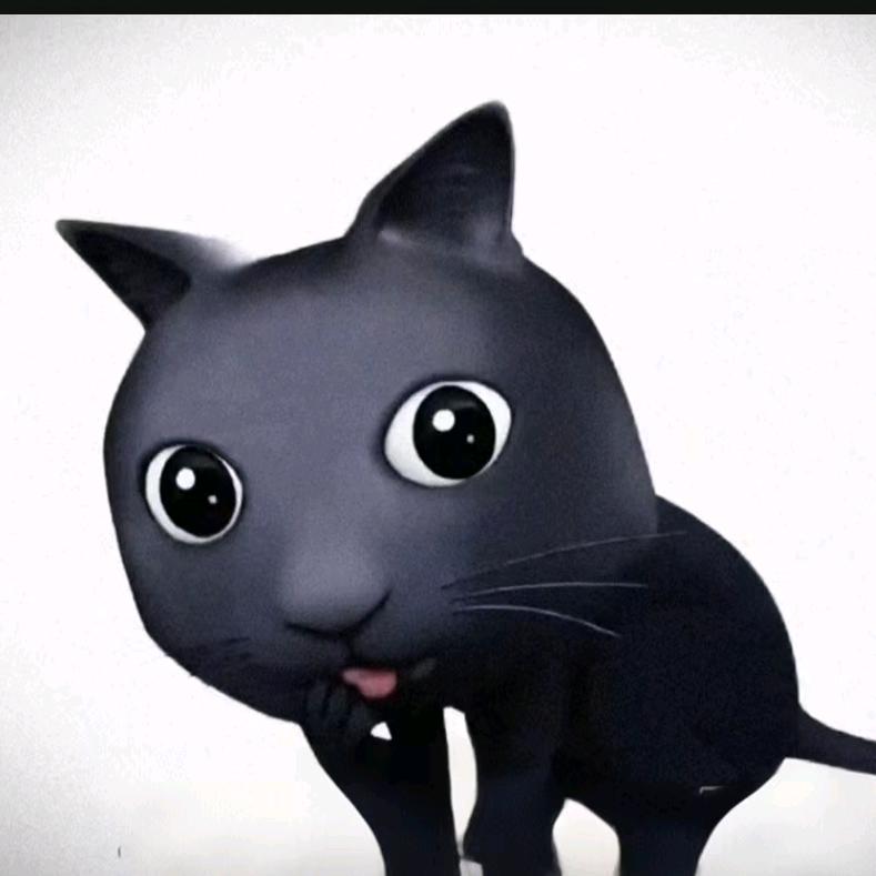 黑小猫