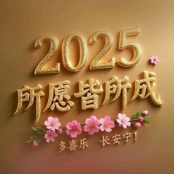 东宁王娟曳舞团～丽
