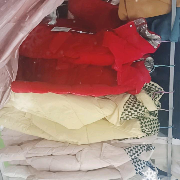 陈正芬