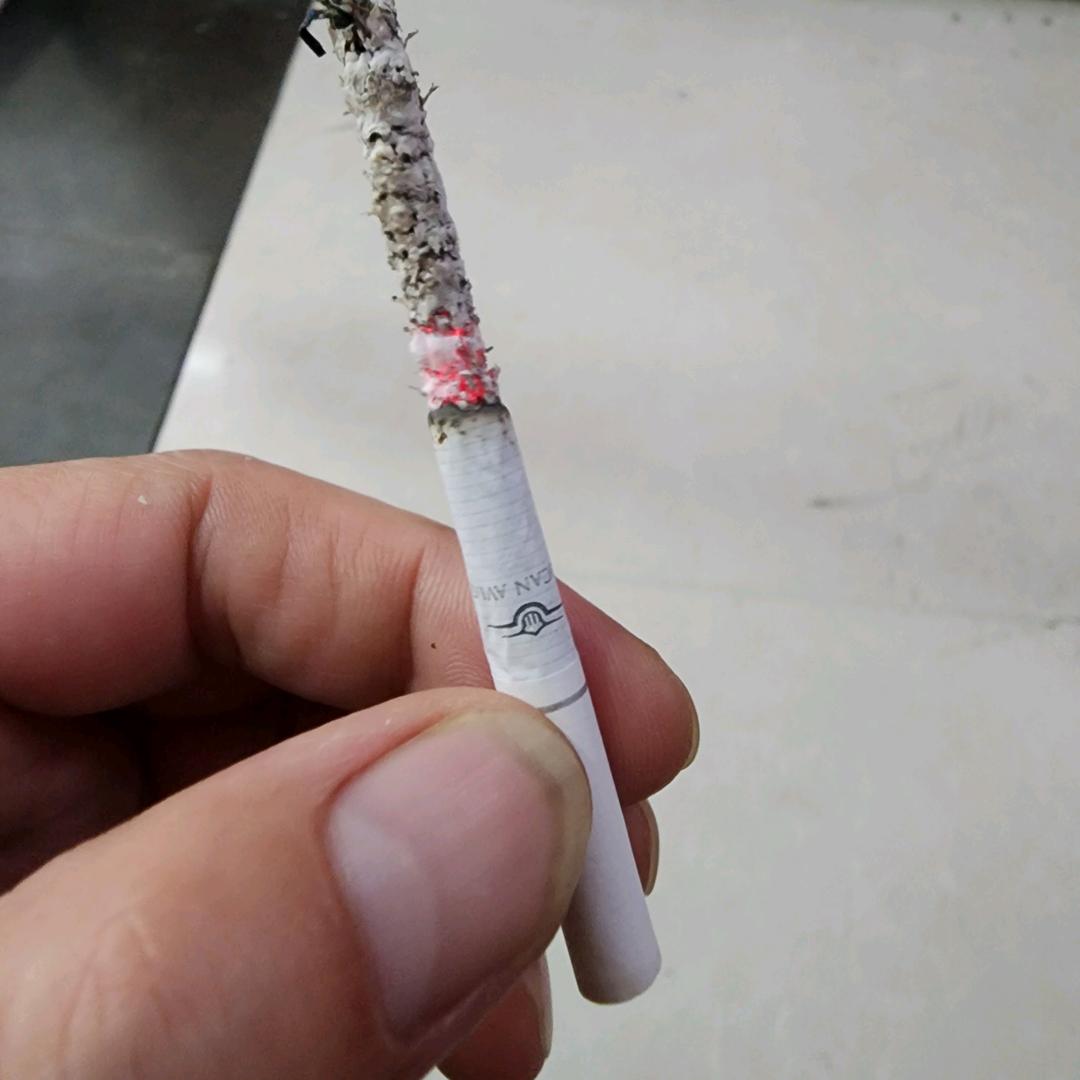 手卷 熟丝