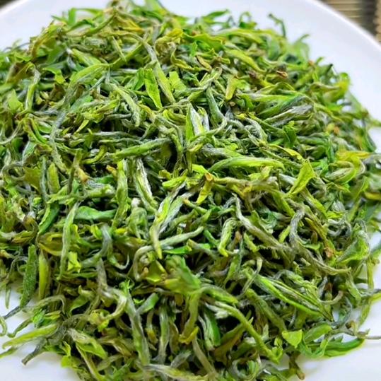 鲁仲茗茶