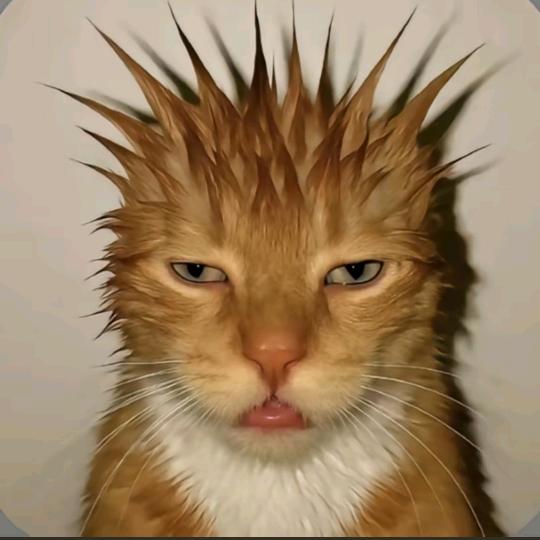 华华