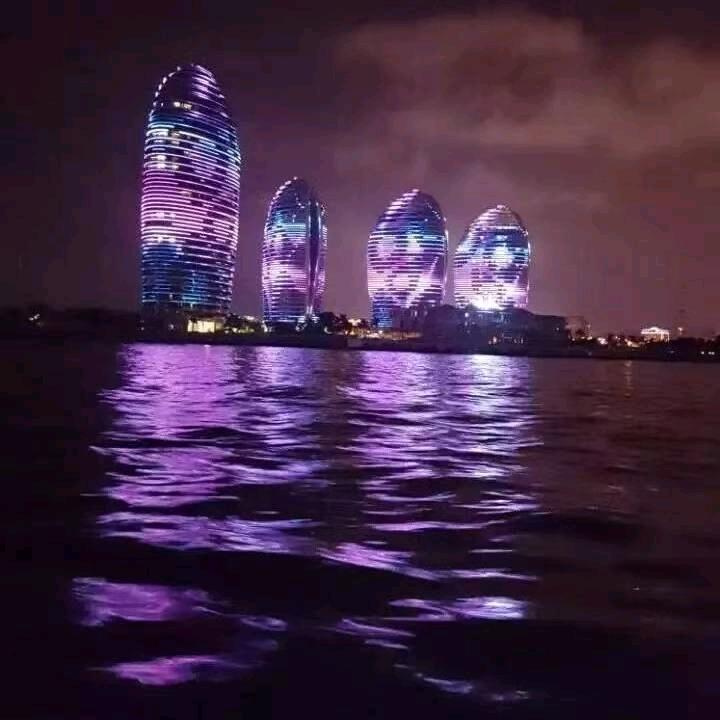 生命伴客