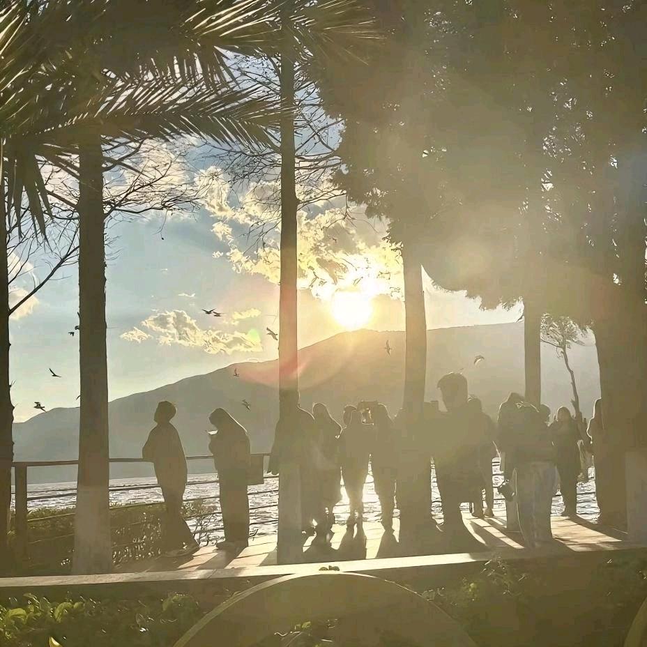 (ﾉ･ω･)ﾉﾞ🎆婷子