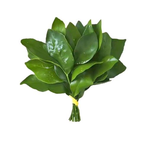 沫兮