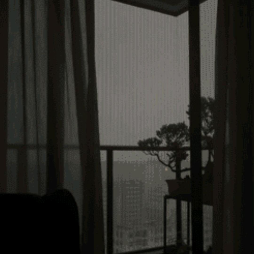 曹权