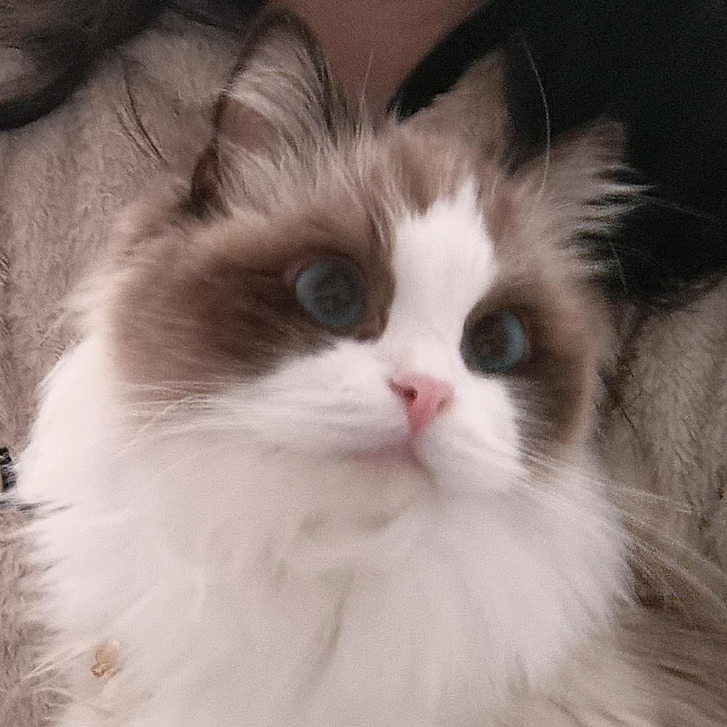 晨泽