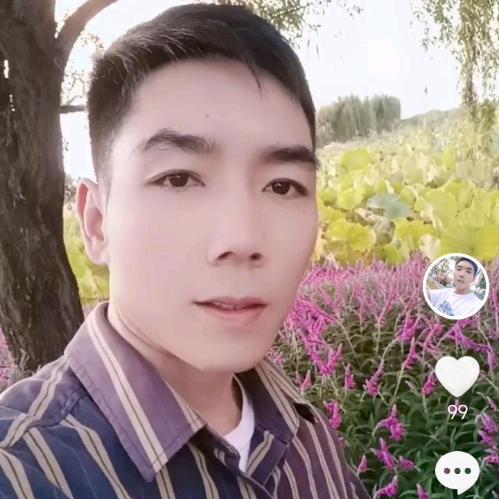 没钞疯