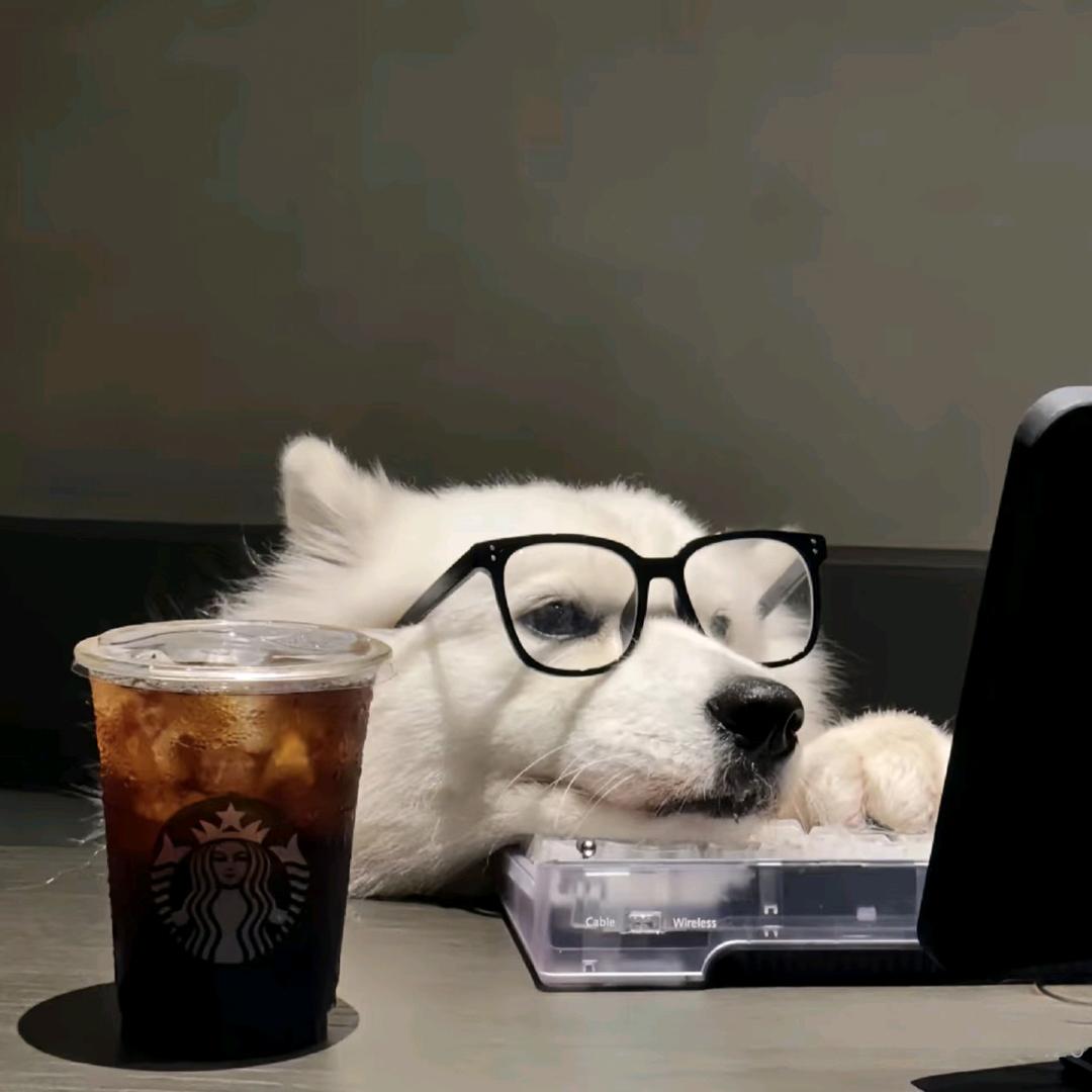 阿巴阿巴（三角洲行动）