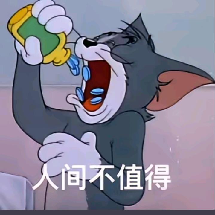 趙队长