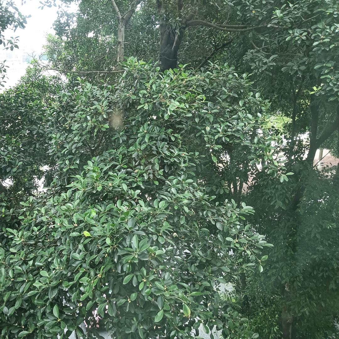 💗᭄訫꯭想ړ事⃨陈້໌ᮨꦿꦶ