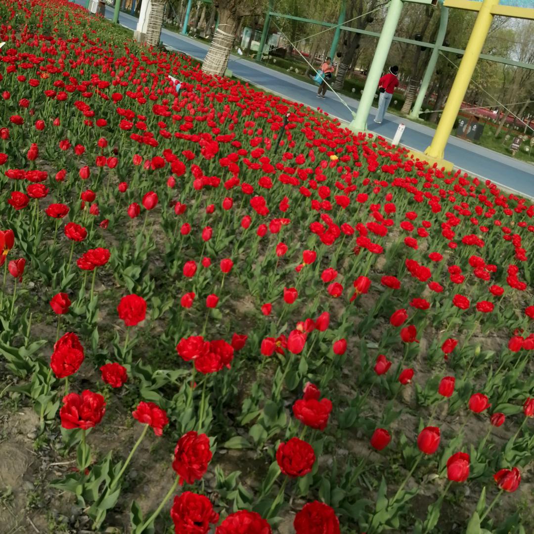 岁月输给了时间