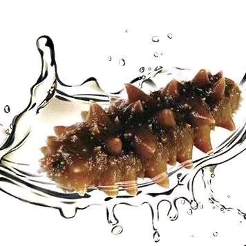 冉姐家的海参铺子