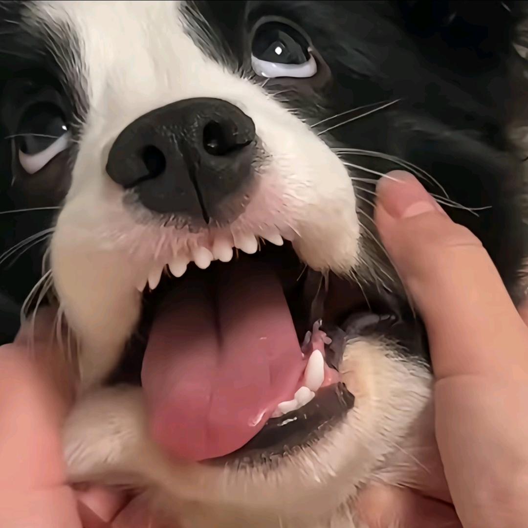 每天都早睡早起