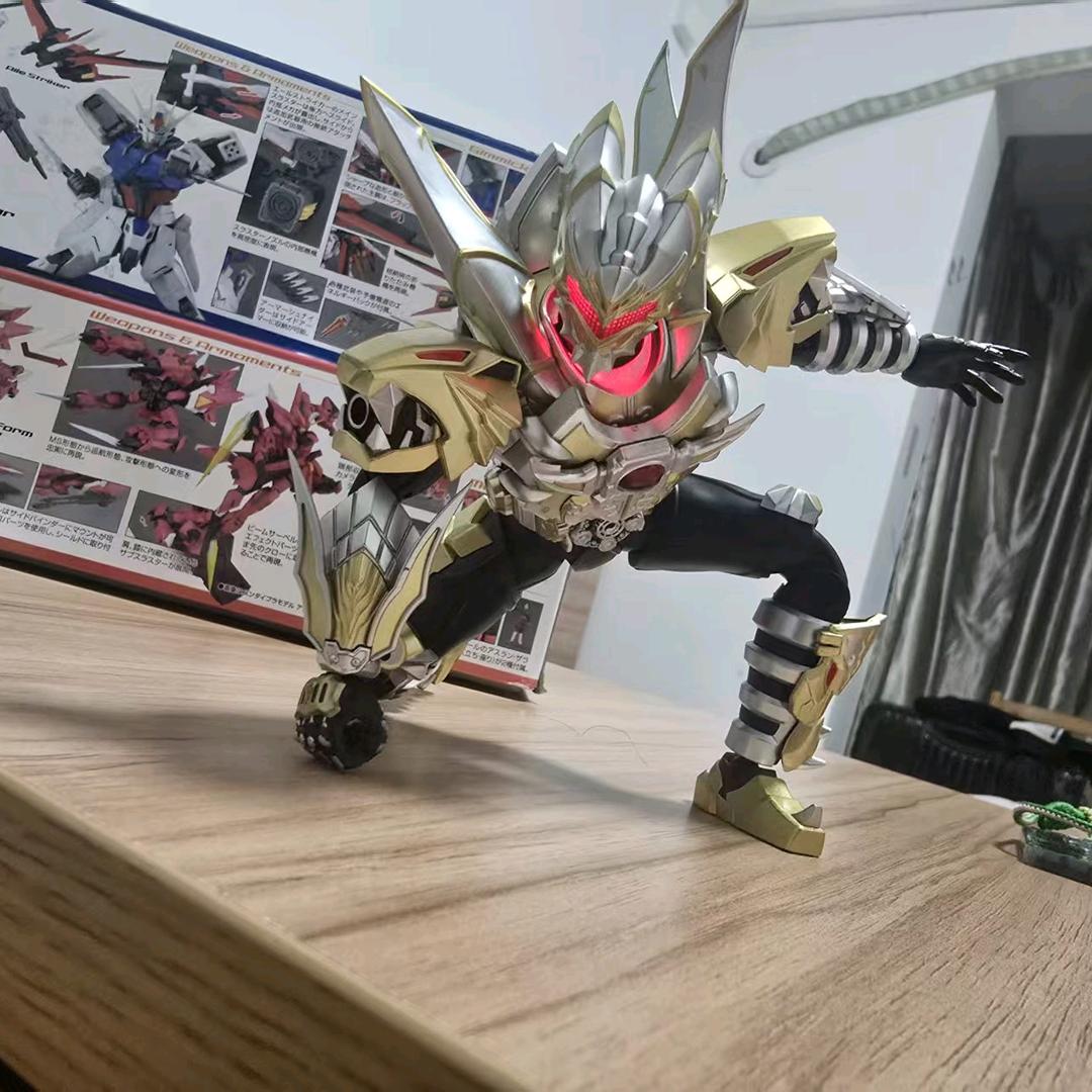 我是要成为海贼王的男人