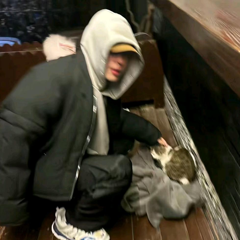 踏雾