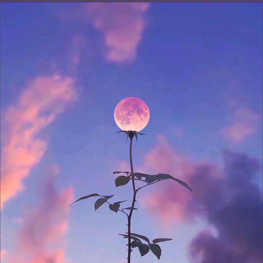 Forever  miss ☪︎