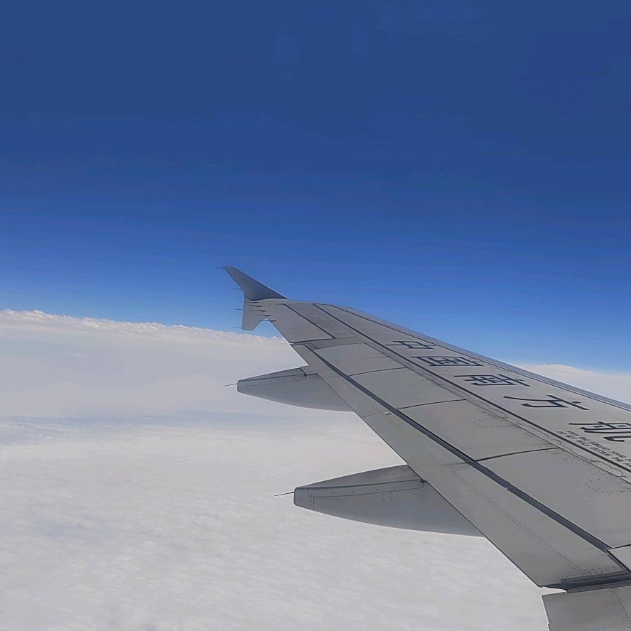 一个洒脱的大叔