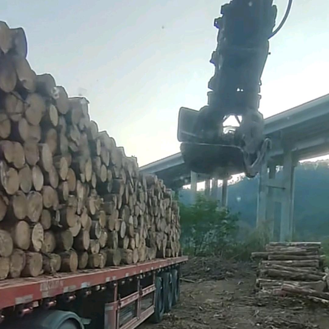 এ贵在坚持꧔ꦿএ