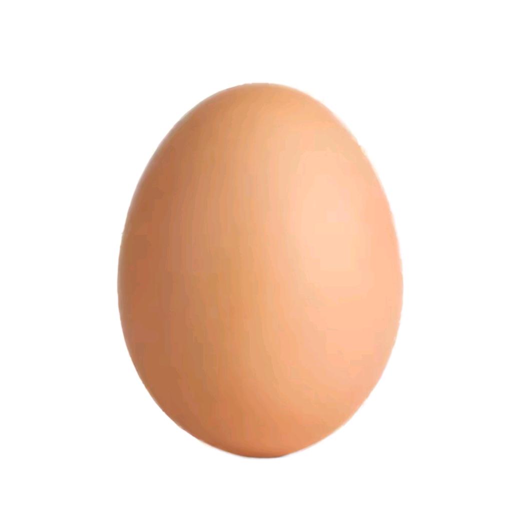一个鸡蛋