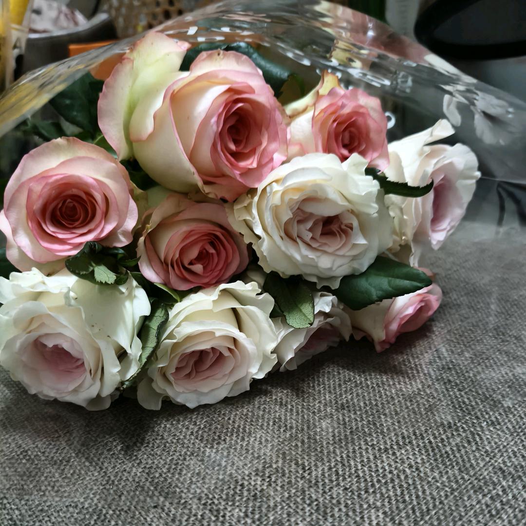 慧