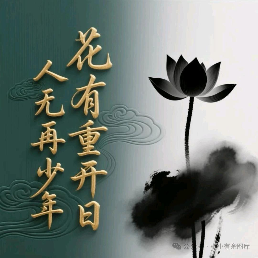 心有所属