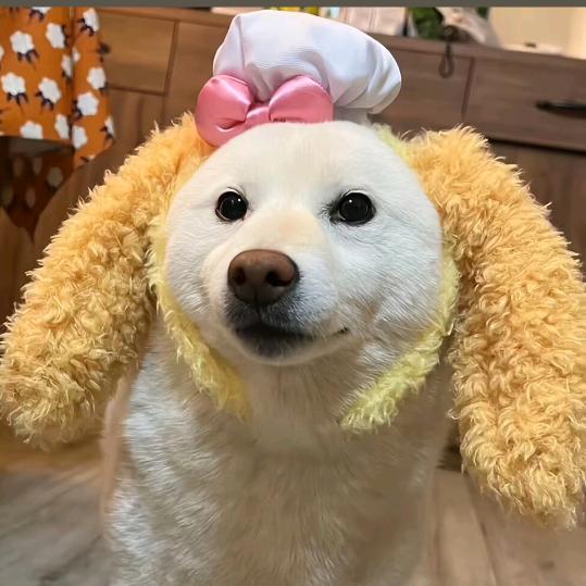 妞妞