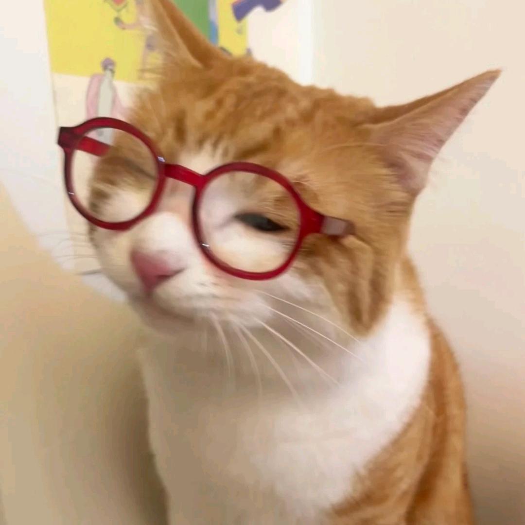 薯条番主^
