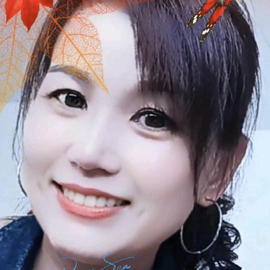 xijia 三姐