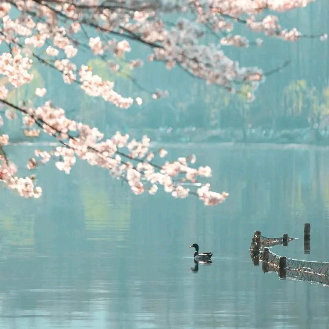 粤品鲜工厂直销店