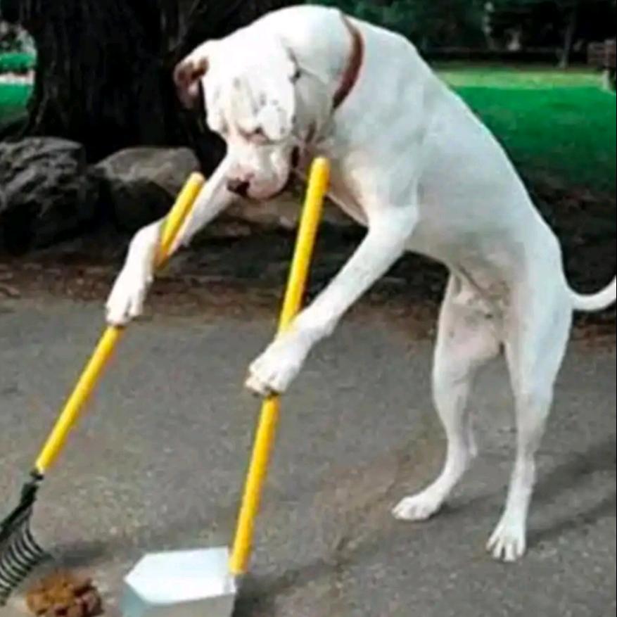 一个善于运用人