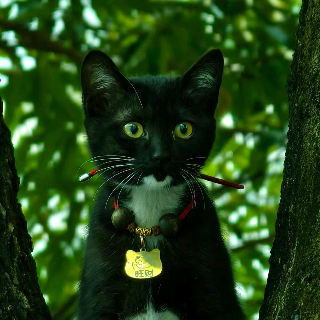 小飞同学（干中学）