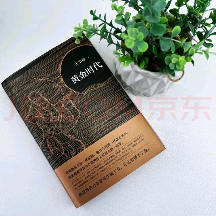 疯狂的石头