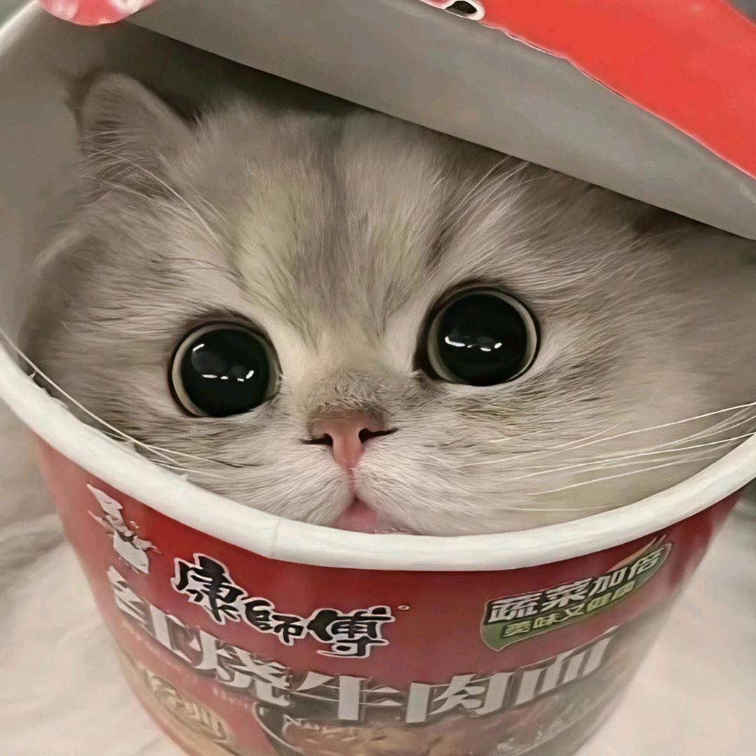 One安
