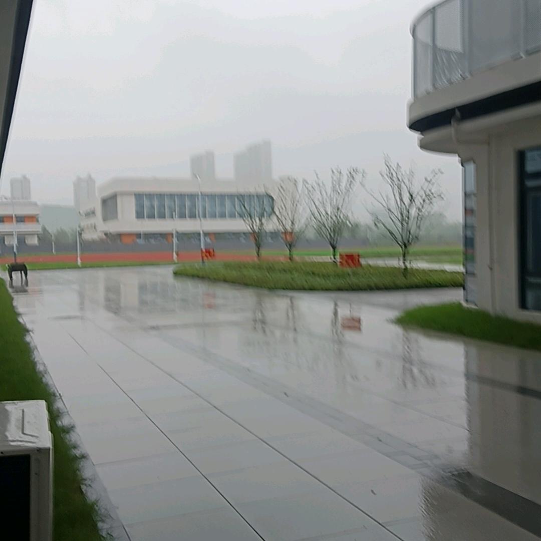 樱花园实验小学保安