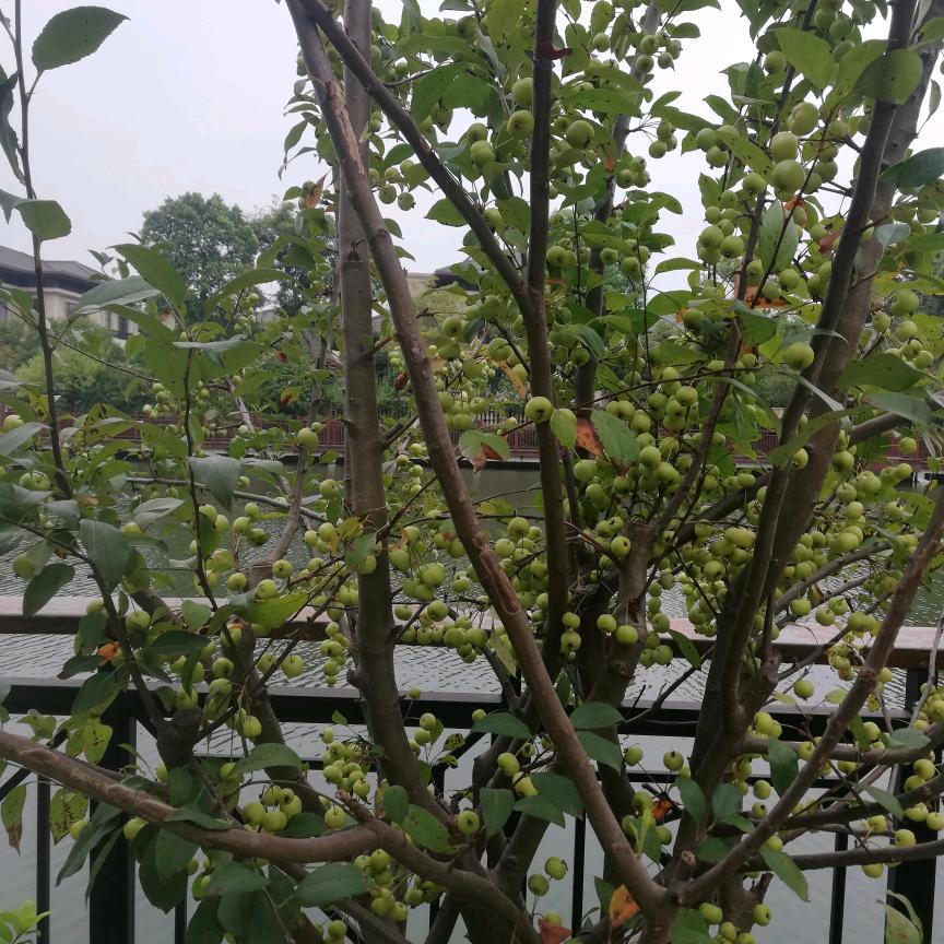 风的约束