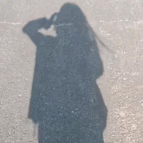 柚子柚子