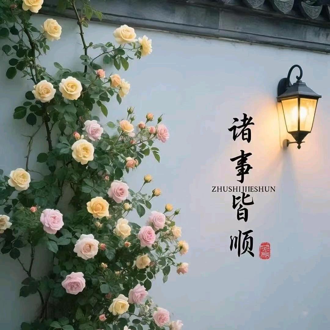 浩几