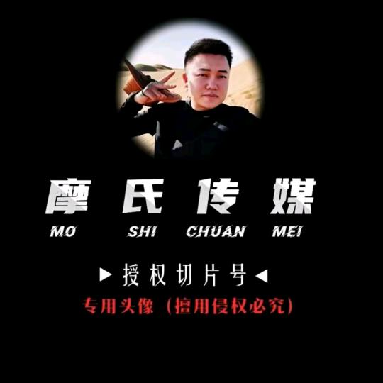 达摩切片-小鲤鱼