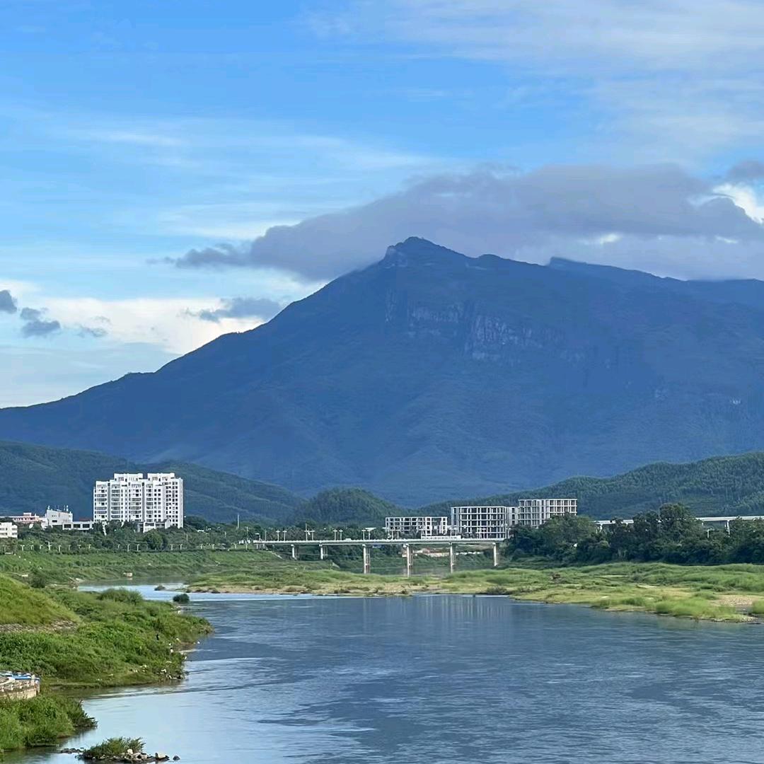 低调
