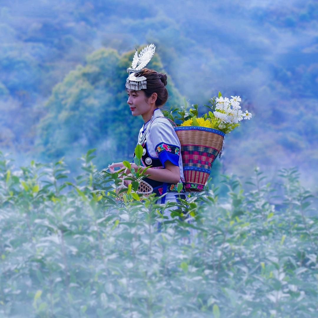 艸茻甄选