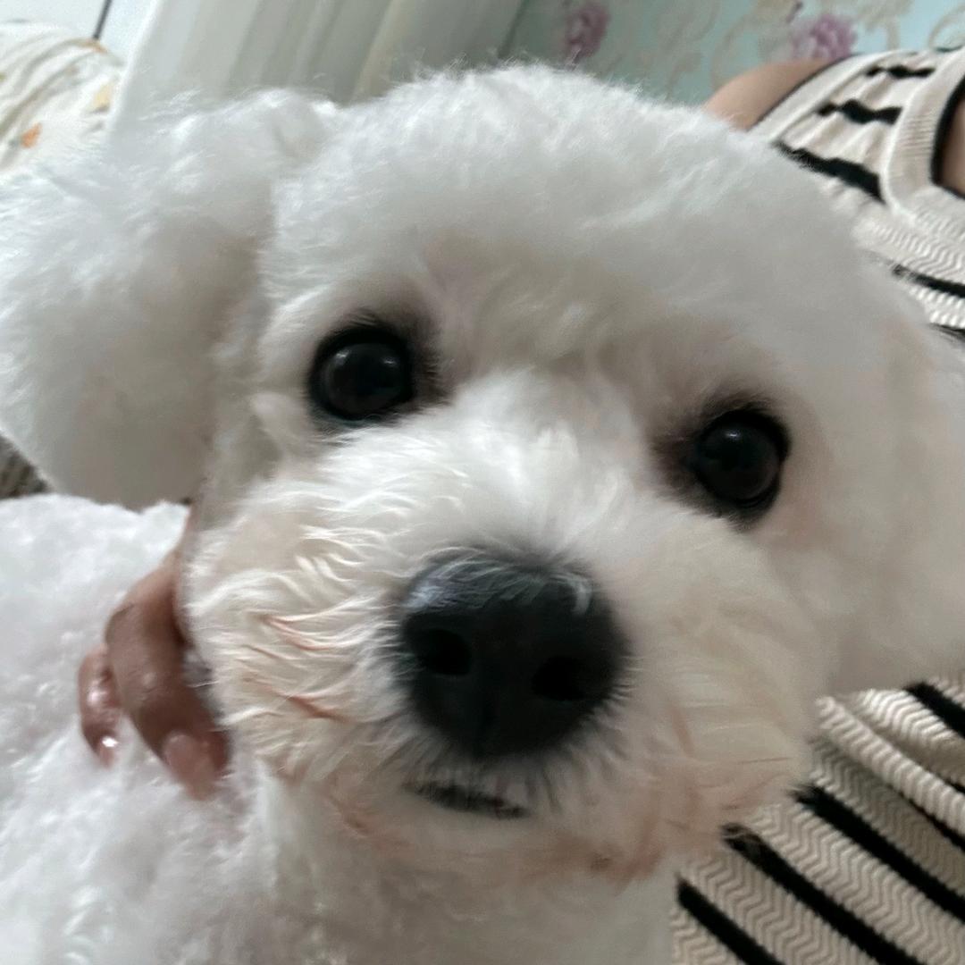 好咕咕辣椒
