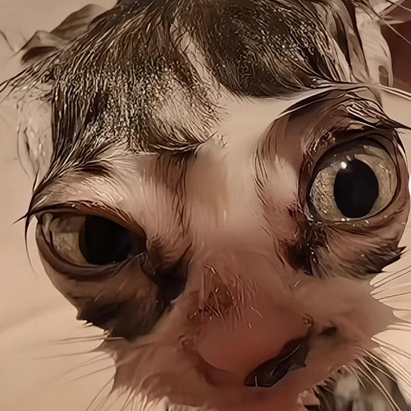 可心