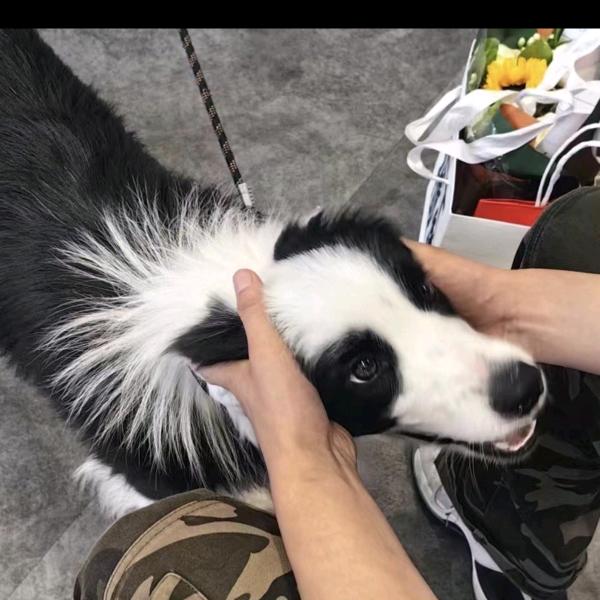 ￴￴￴ ￴￴   ￴ ￴ ￴￴￴