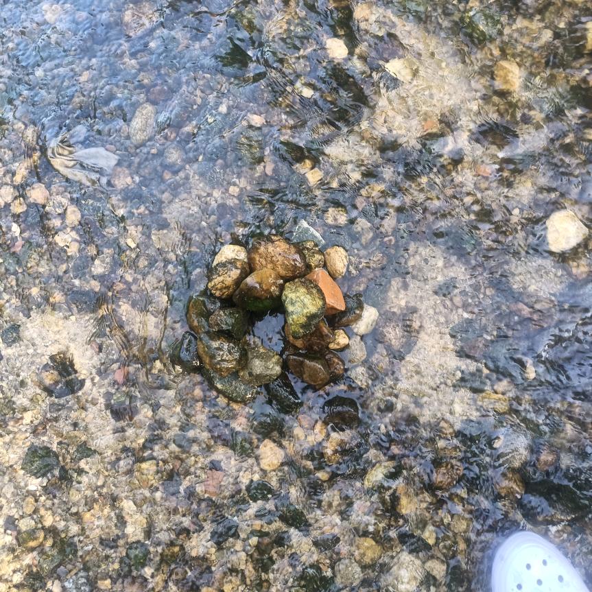 沉默是金金