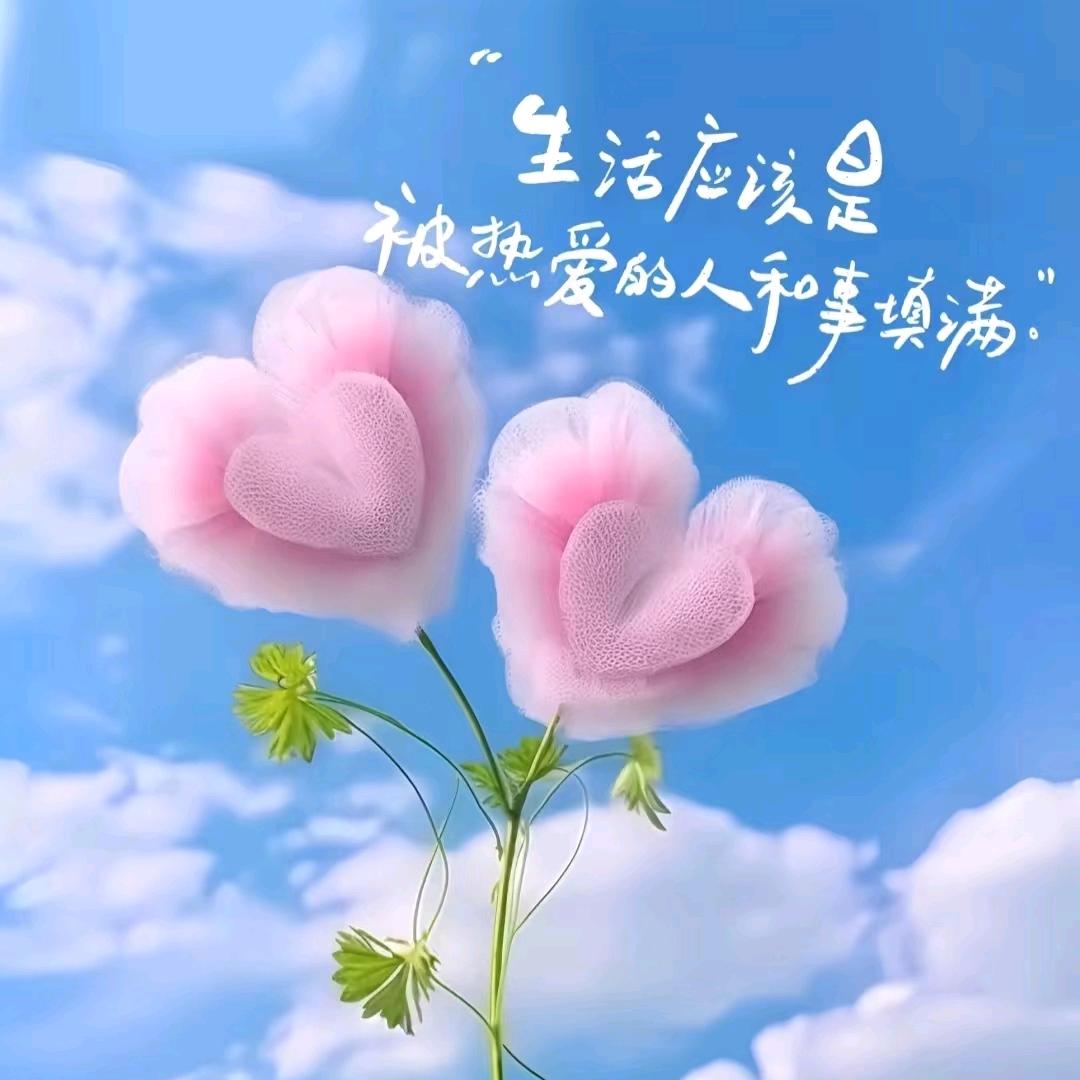念念不忘🐰