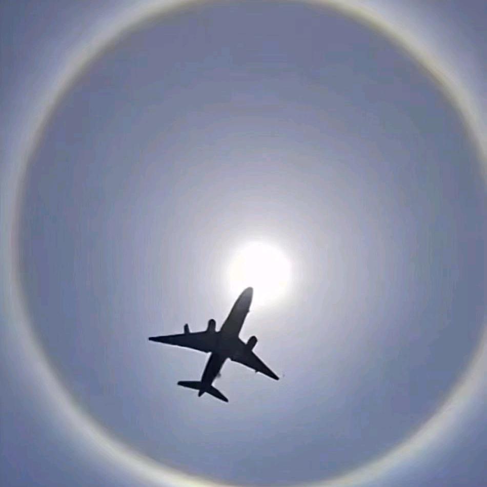 武夷岩茶🔥小詹