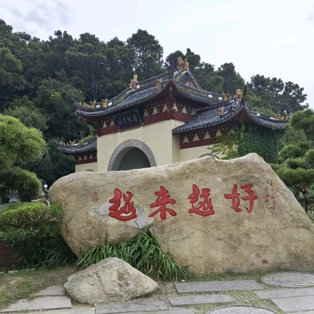 与光同行🇨🇳