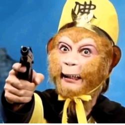 那年我不是毒妇