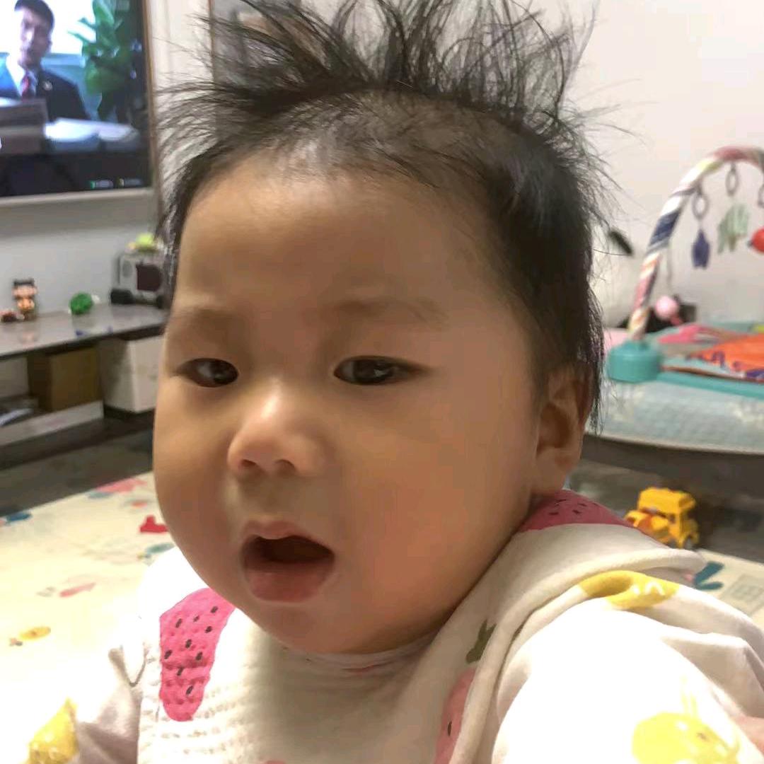 爱动的小橙子